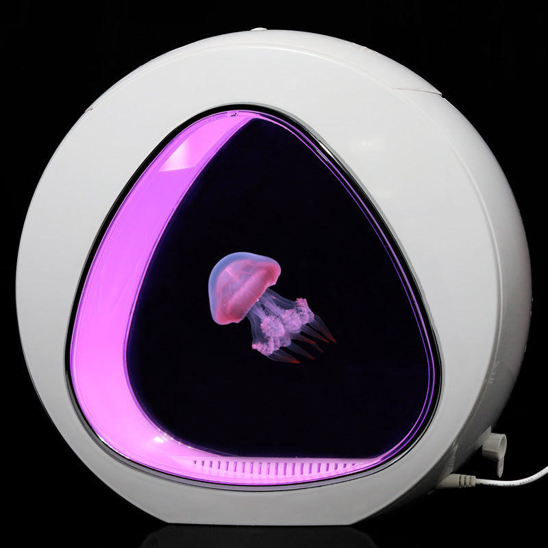 Jellyfish tank